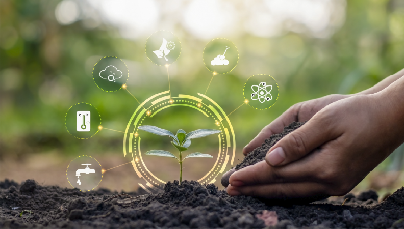 Agricultura portuguesa enfrenta o desafio da sustentabilidade Agricultura portuguesa enfrenta o desafio da sustentabilidade