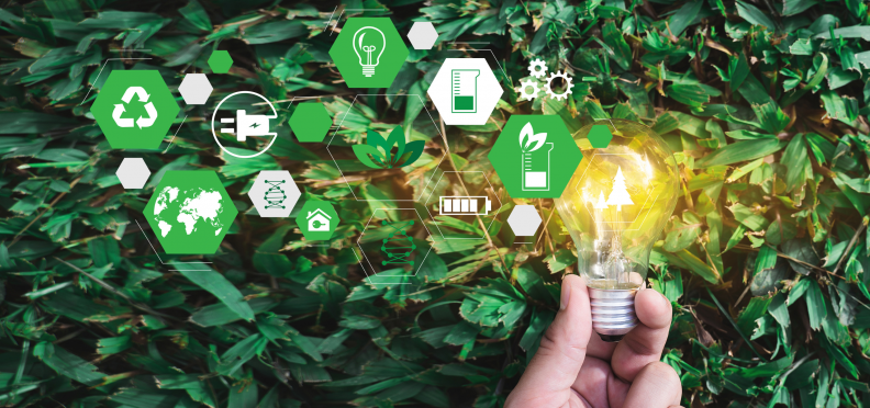 Programa de formação profissional na área da energia <Br> Emprego mais verde em Portugal Programa de formação profissional na área da energia <Br> Emprego mais verde em Portugal